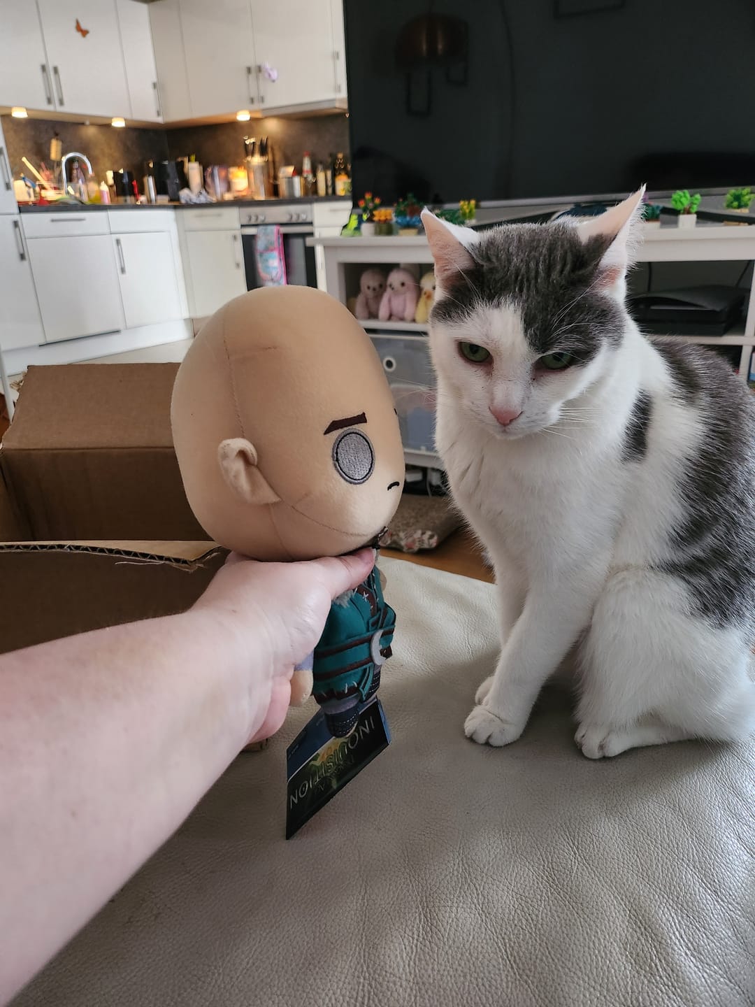 Customer photo review of Dragon Age - Solas Collector's Plush