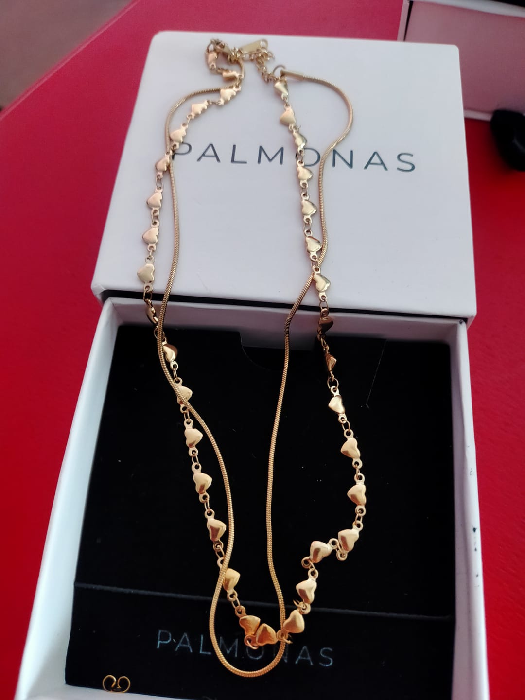 Customer photo review of Lovely Heart Two Layered Necklace