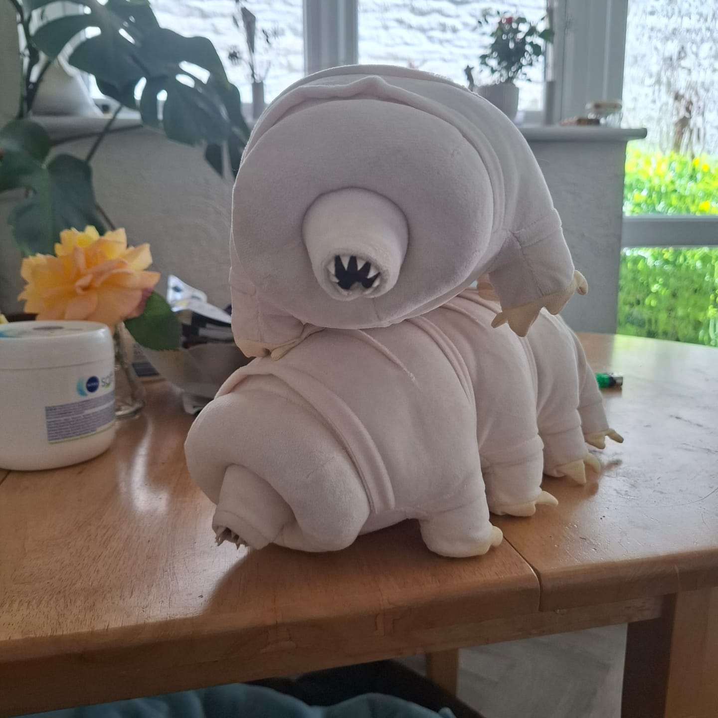 Customer photo review of Tardigrade Water Bear Soft Stuffed Plush Toy
