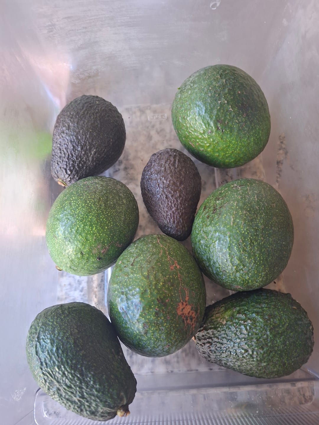 Customer photo review of Avocado Retterbox "Späternte" von Juan 3kg