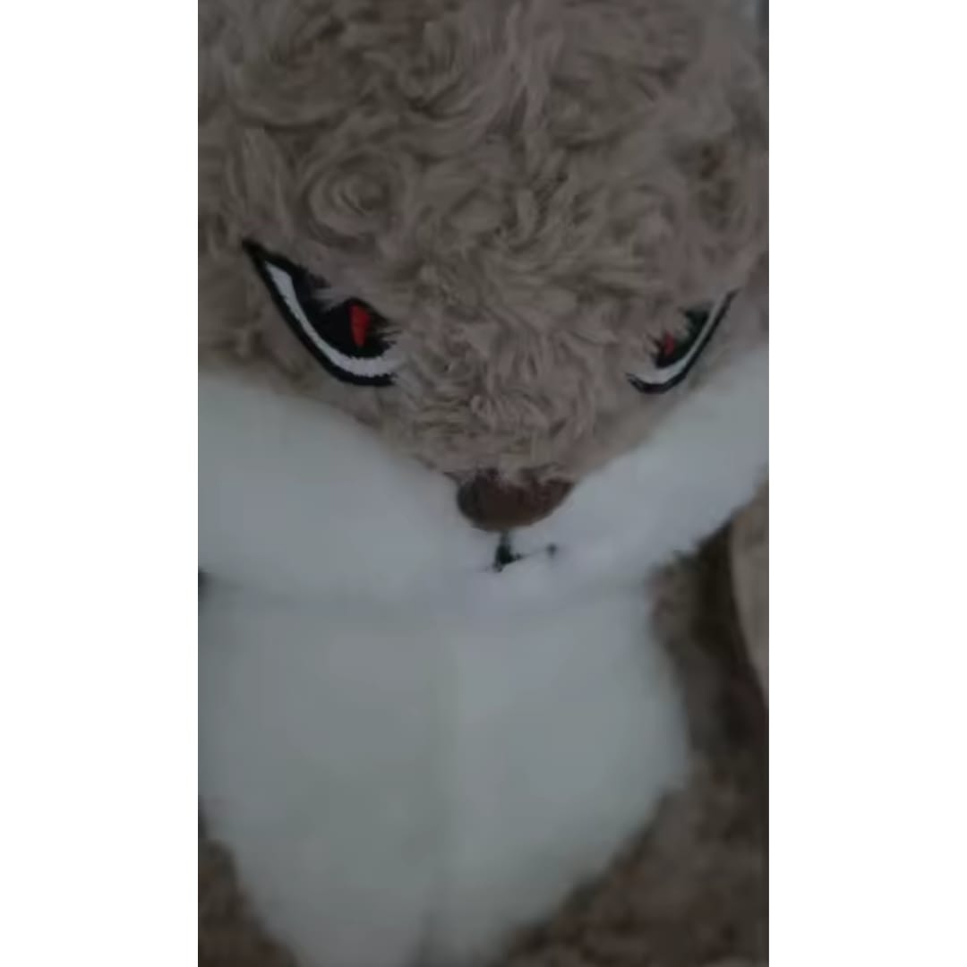 Customer photo review of Peluche tierno y enojado