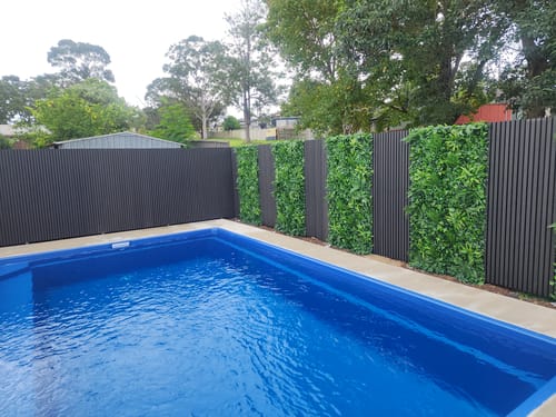Customer photo review of Luxury Green Sensation Vertical Garden Green Wall Panel 1m x 1m – SGS UV Resistant (1 Week Price Reduction)