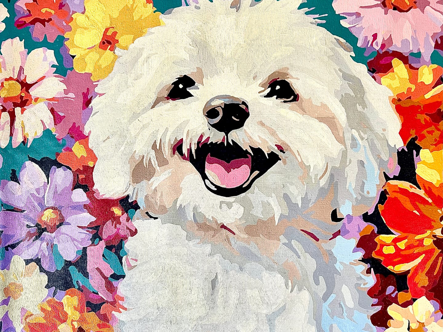 Customer photo review of Bichon Frise
