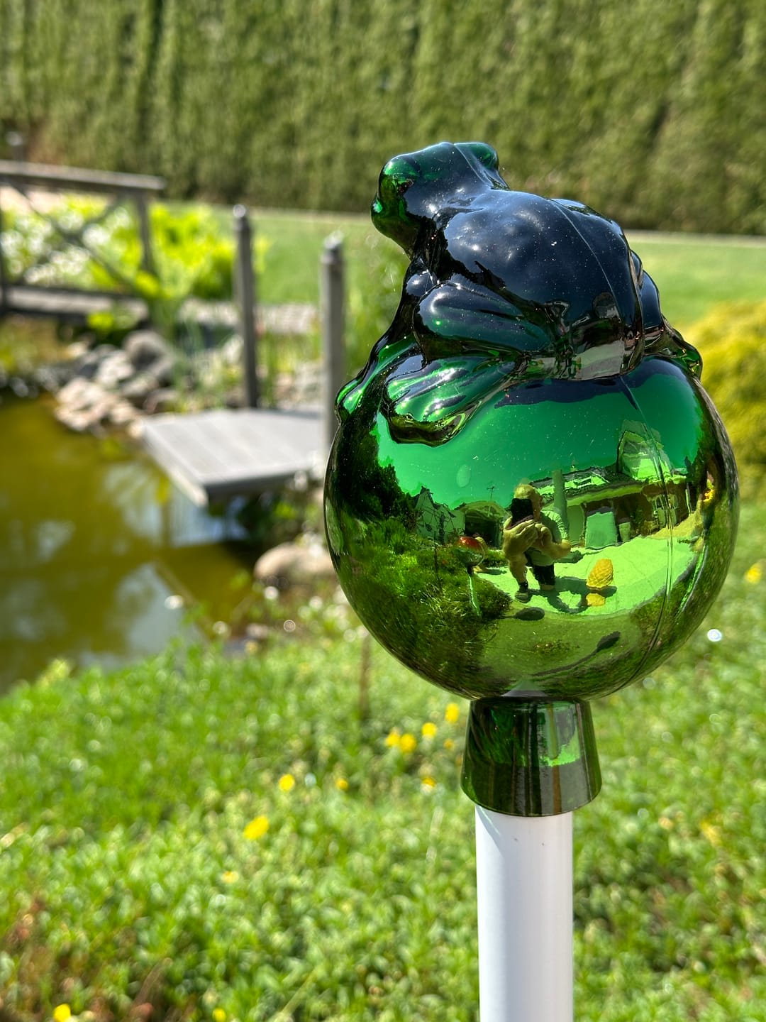 Customer photo review of Rosenkugel Frosch auf Kugel Grün