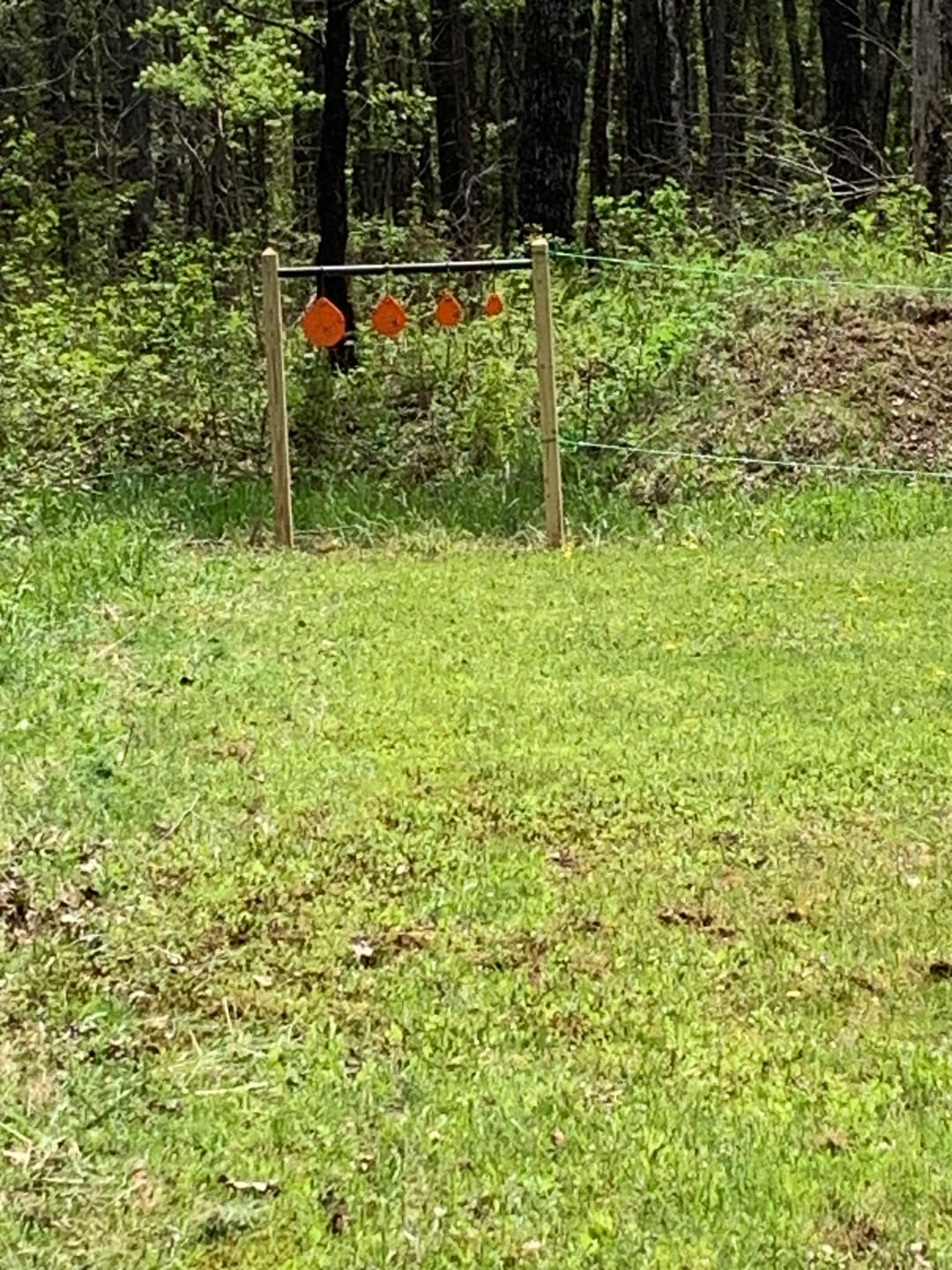 Customer photo review of ST7 Ultra Mega Targets