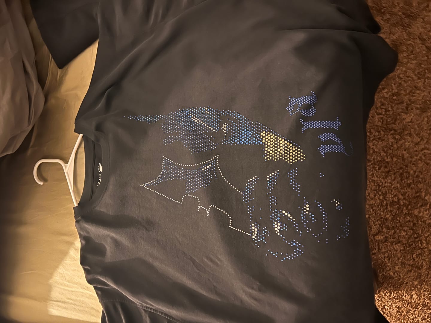 Customer photo review of 4257 - Batman Rhinestone Tees