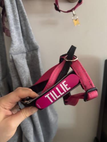 Customer photo review of Rogz Personality Plus Colour Badges