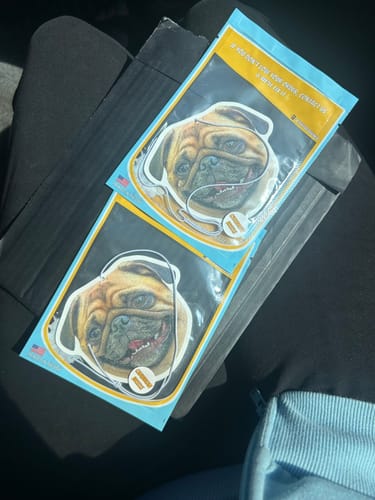 Customer's two Custom Air Fresheners with a pug photo, shown in their packaging on a car seat.