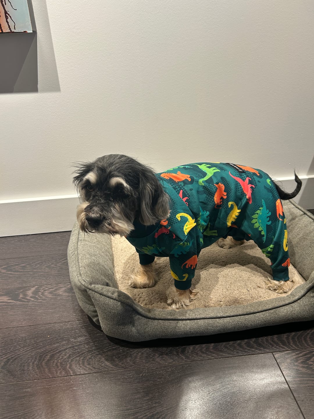 Customer photo review of Dog Pajama - Dinosaurs