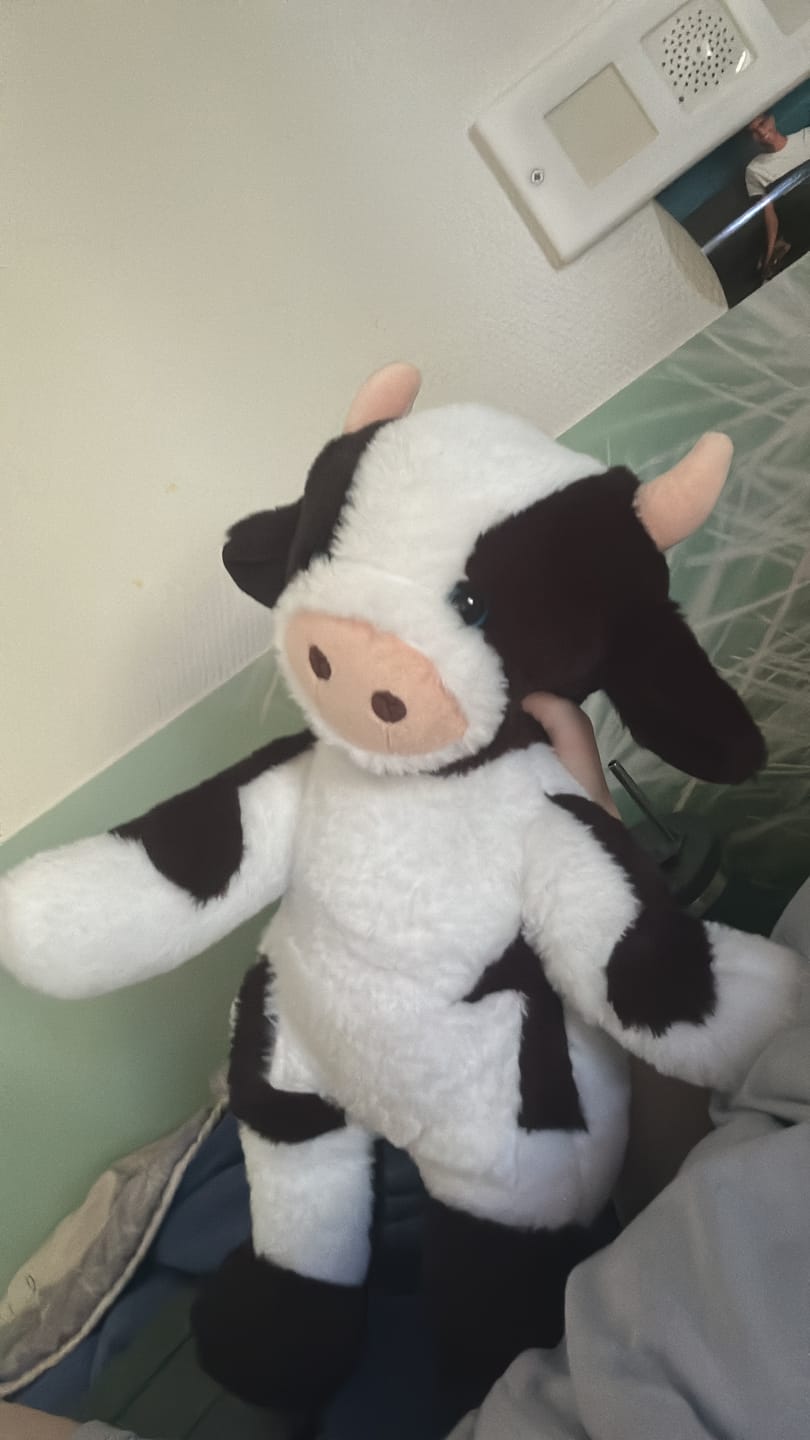 Customer photo review of Verzwaringsknuffel Koe 2,2 kg + Gratis Pittenzakje