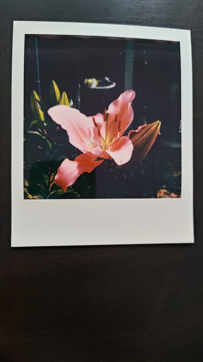 Customer photo review of Polaroid SX-70 Original Chrome Instant Camera