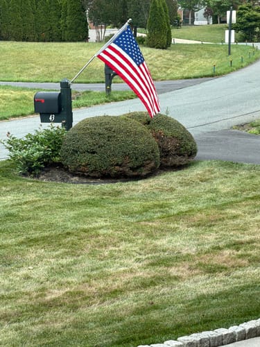 Customer's Heavy Duty American Nylon Flag flying on a pole in their front yard.