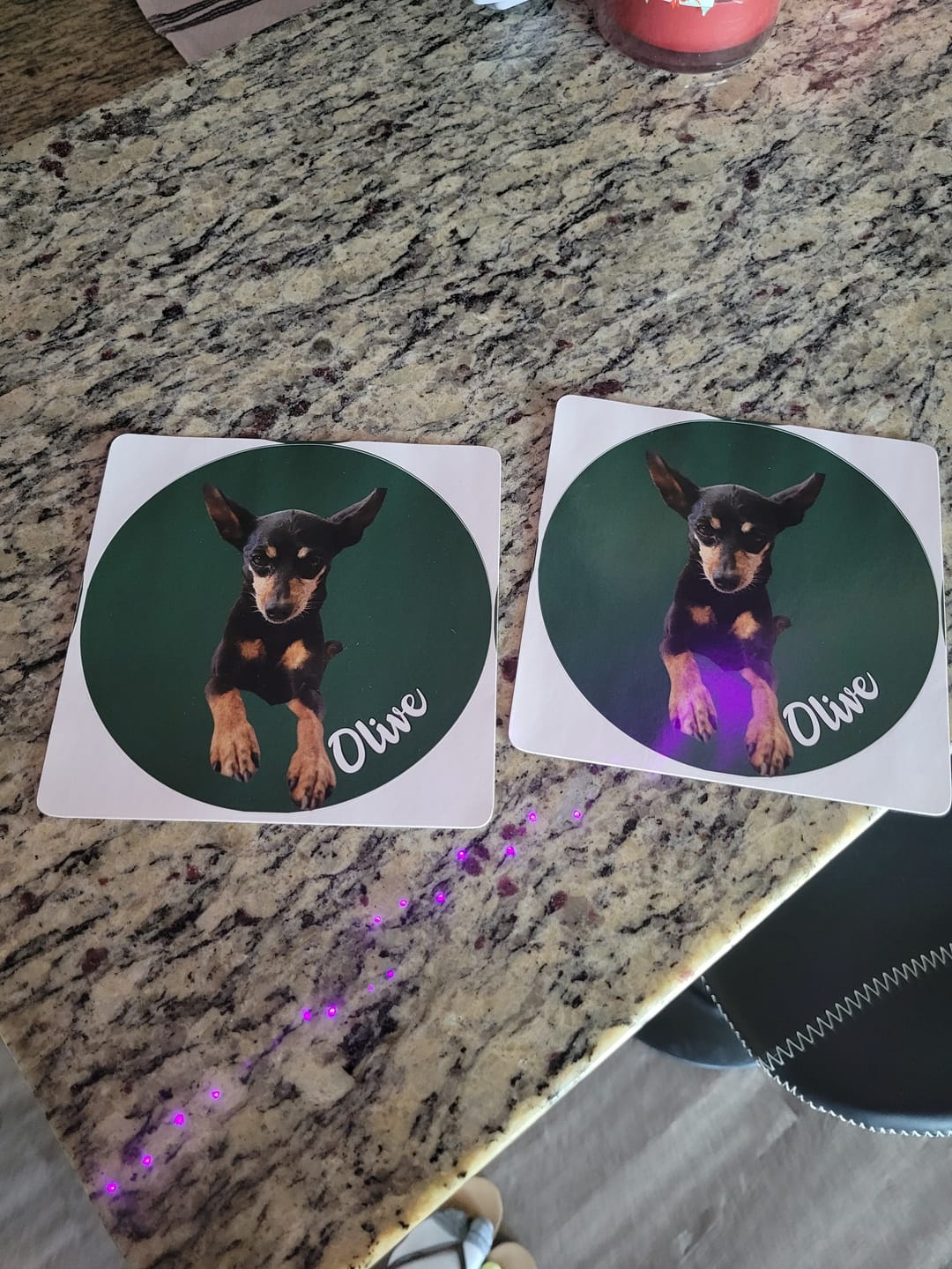 Customer photo review of Your photo -  Personalized Car Sticker