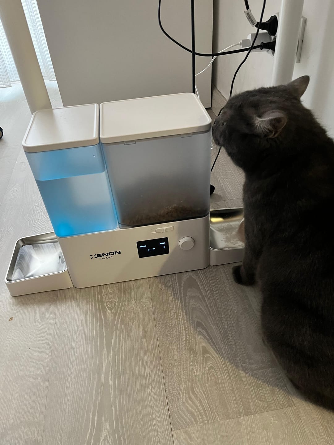 Customer photo review of Otomatik Mama ve Su Kabı | Akıllı 2 in 1 Besleyici, WiFi, Çelik Kase, 3.5L/2L, Sessiz Sifon (X8616)