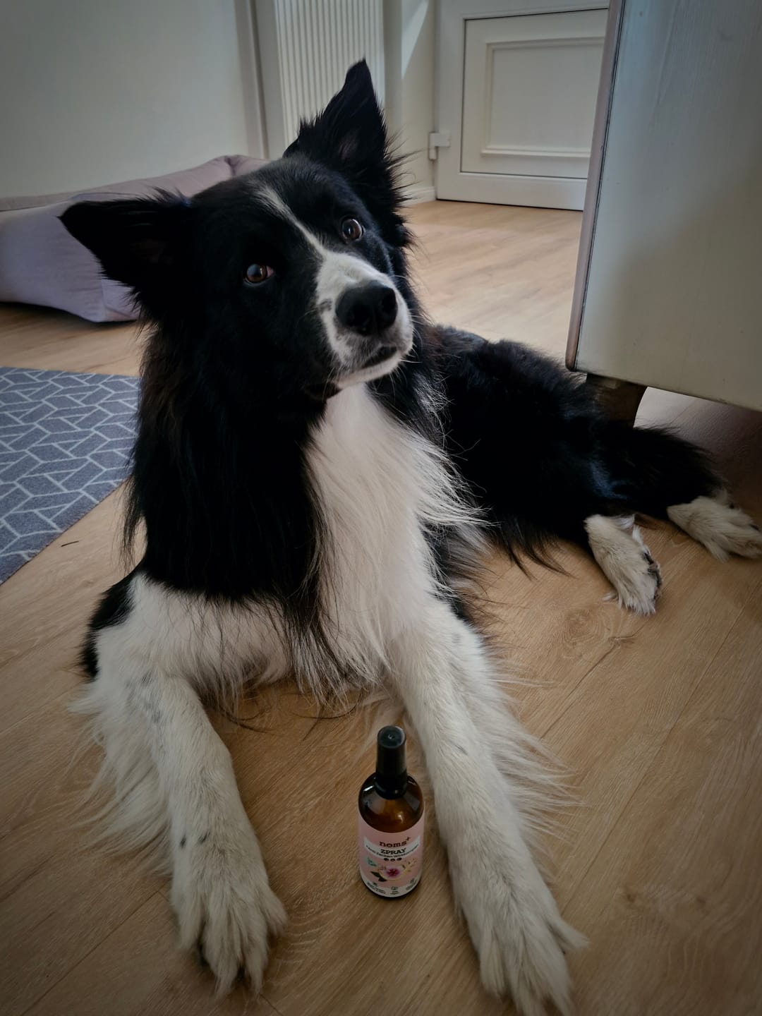Customer photo review of Zpray für Hunde und Menschen gegen Zecken, Flöhe, Milben & Mücken