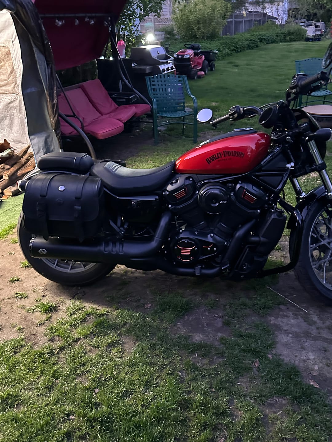 Customer photo review of 14L - Viper Medium Shock Cutout Harley Nightster RH975/S Leather Motorcycle Saddlebags