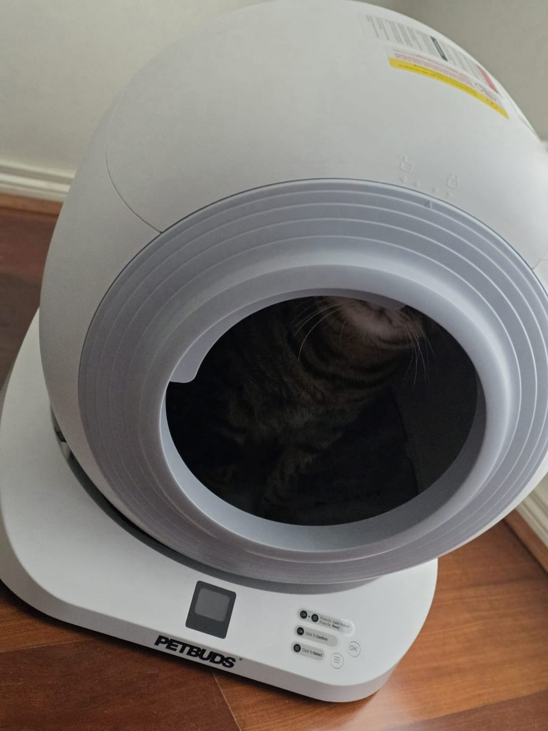 Customer photo review of The Petbuds Tonepie Q-CLEAN Automatic Self-Cleaning Litter Box