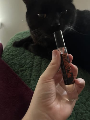 Customer holding the 15 lbs of Fur and Entitlement fragrance spray while a black cat in the background sniffs toward the bottle.