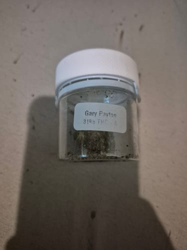Customer's Gary Payton 31% THCA product shown inside a small, clear jar with a white lid and label.