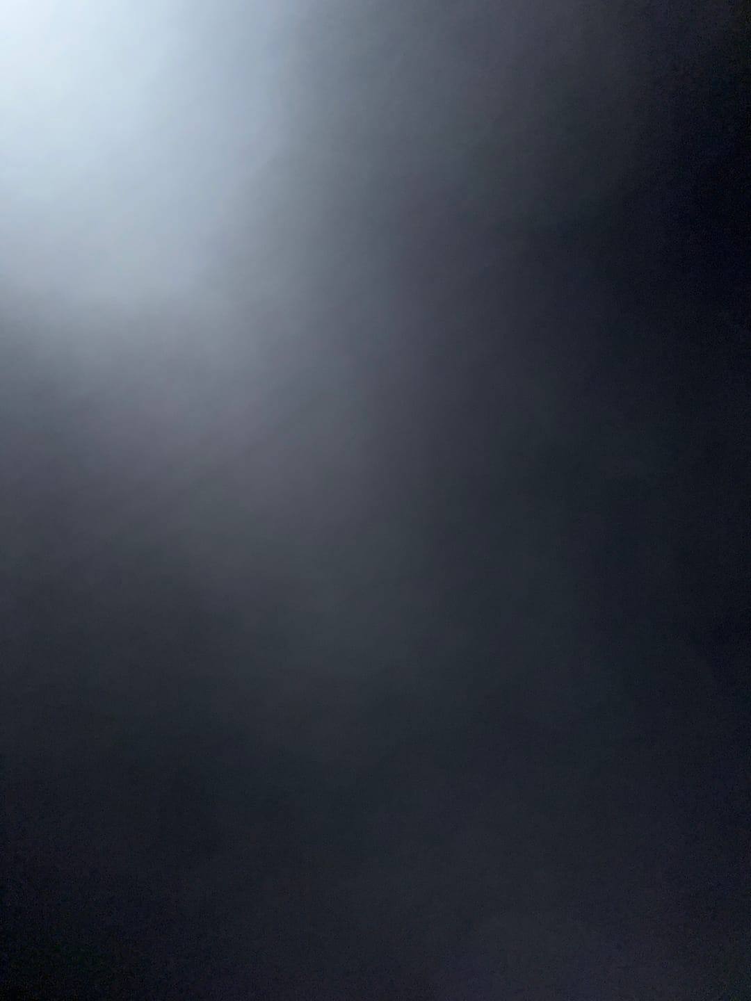 Customer photo review of FSD24 Official Tee