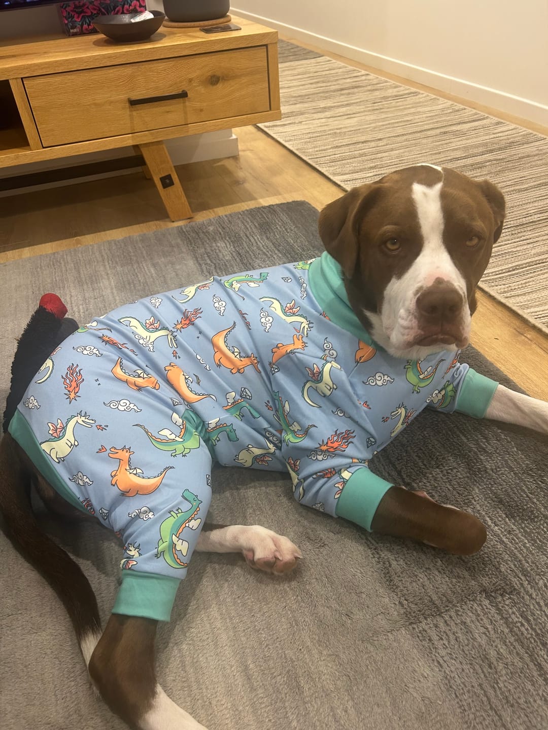 Customer photo review of Dog Pajama - Dragons