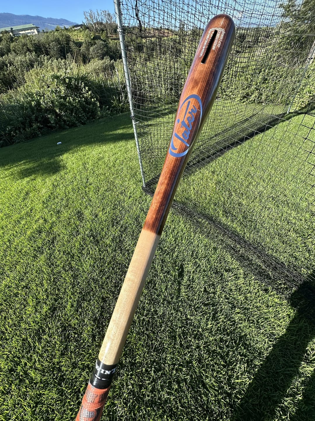 Customer photo review of Mystery Fungo