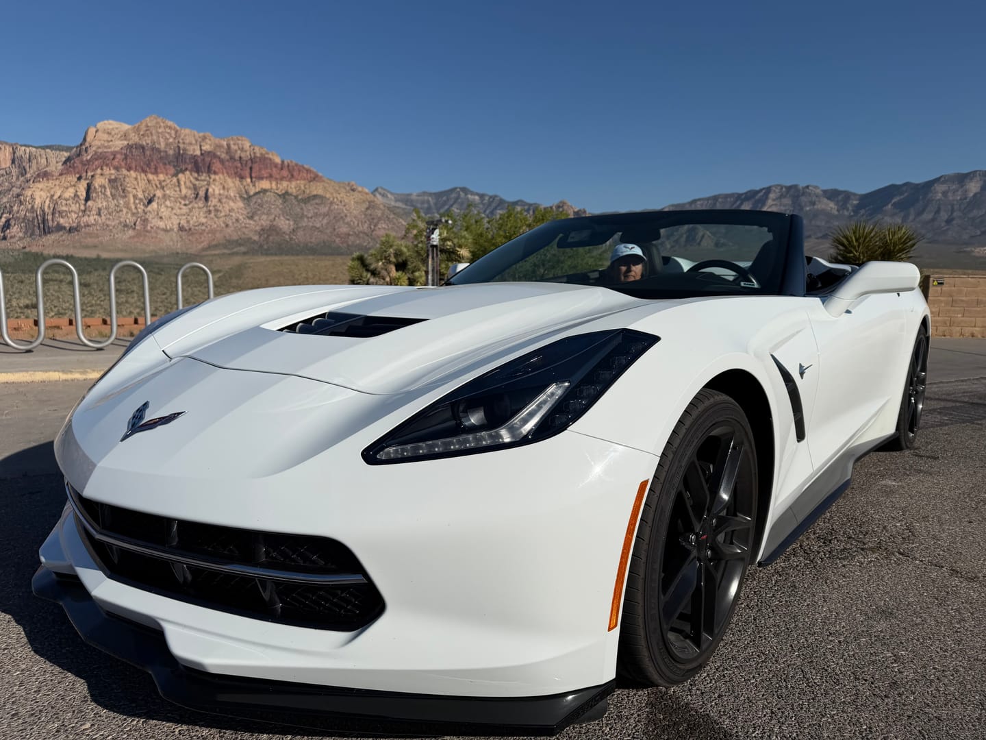 Customer photo review of Corvette C7 Z06 Conversion Side Skirts Rocker Panels