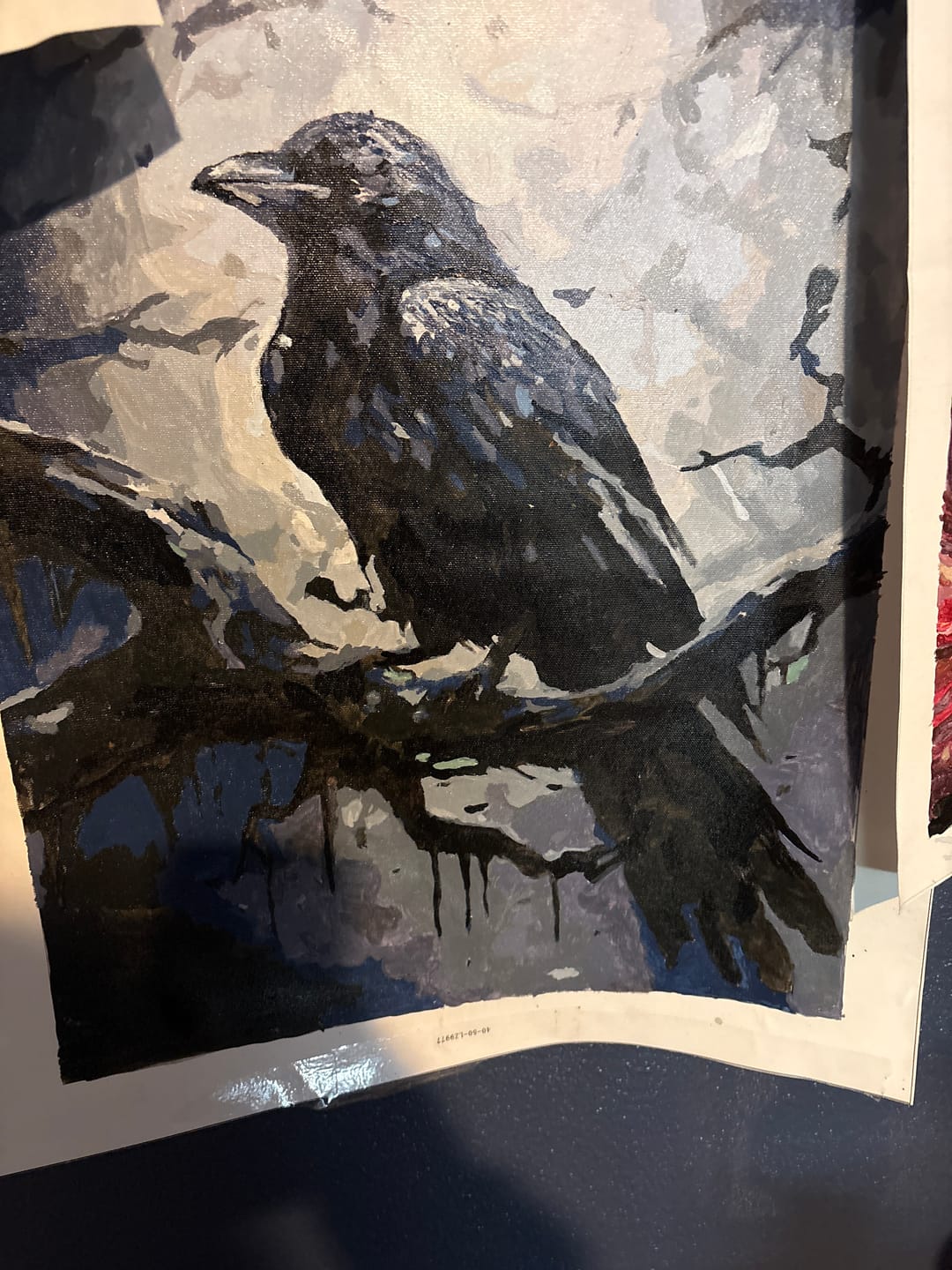 Customer photo review of Mysterious Raven