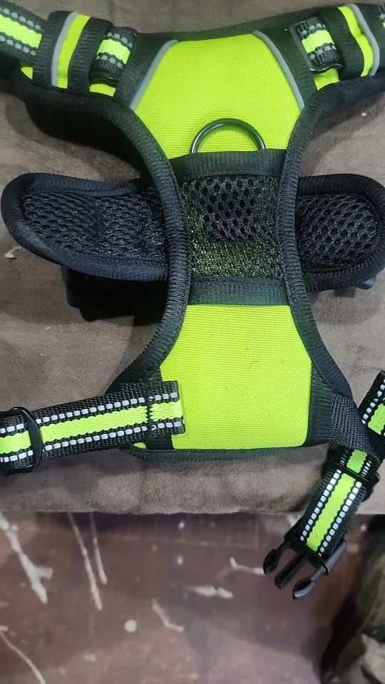 Customer photo review of Dog Collars Harness Big Vests Leash Pet Shop Everything for Dogs Leather Puppy Accessories Medium Small Set