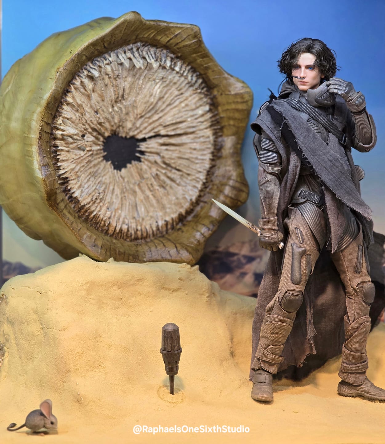 Customer photo review of Paul Atreides 1/6 Collectible Figure  - Standard & Deluxe Version