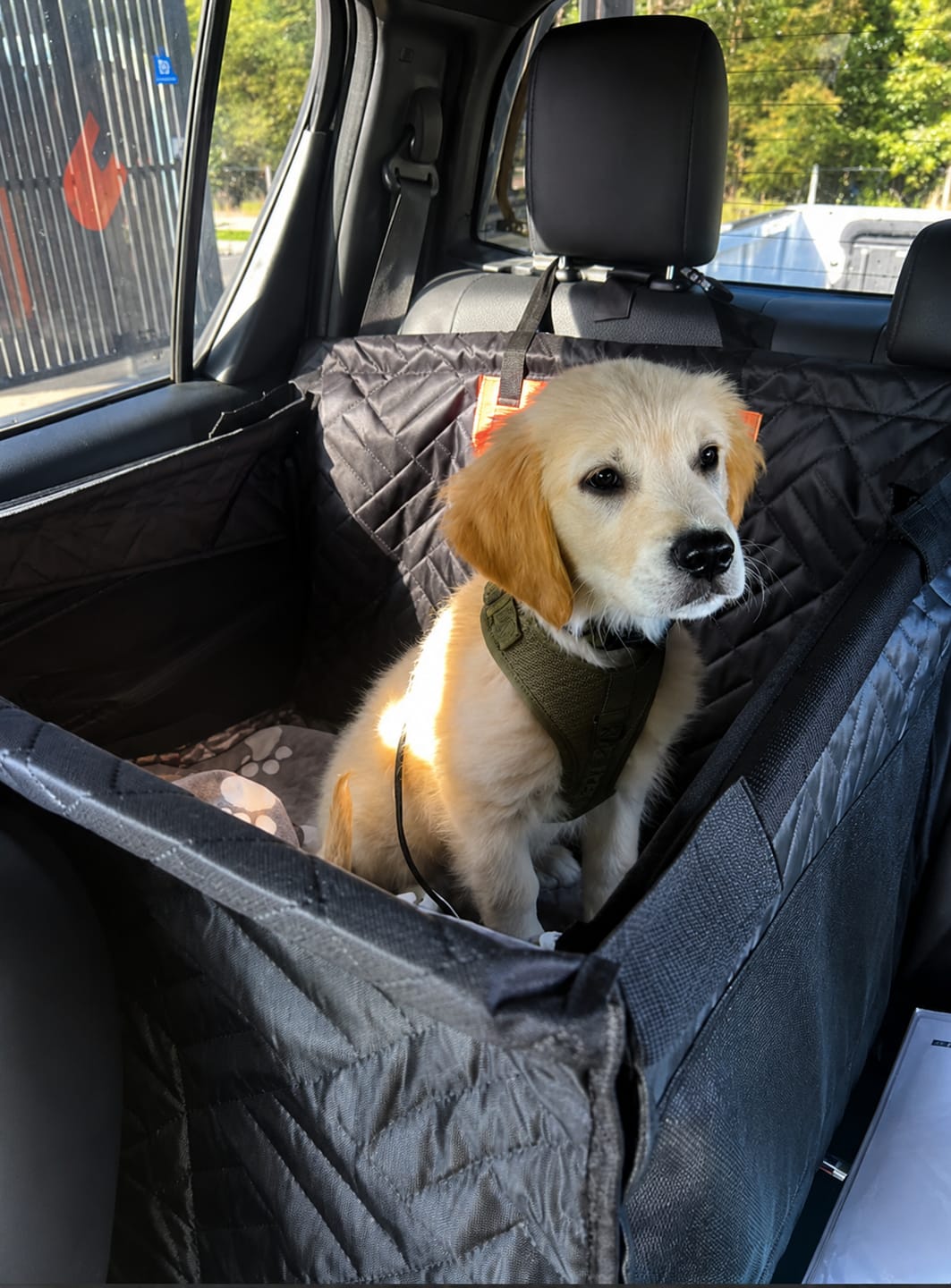 Customer photo review of Marlo&Co™ Single Travel Seat