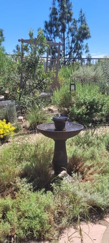 Customer photo review of Ventosa Solar Pump