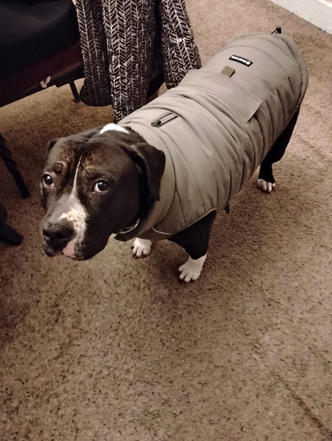 Customer photo review of WarmShield Water-Resistant Jackets