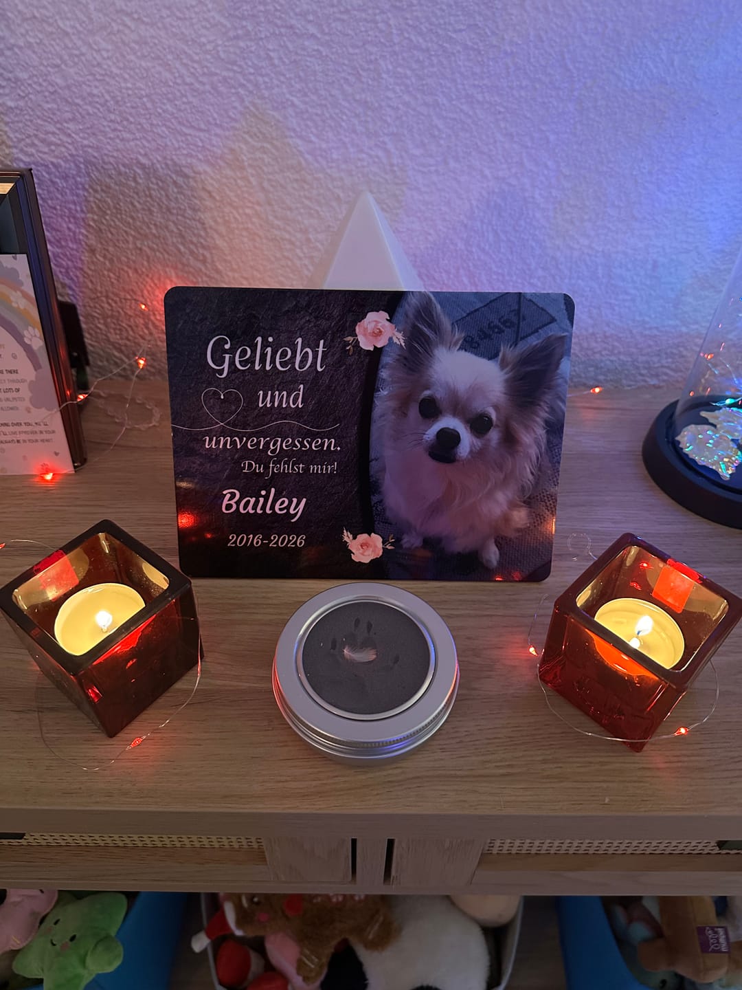 Customer photo review of Hunde Gedenktafel mit Foto & Spruch (UV- & Wetterfest)