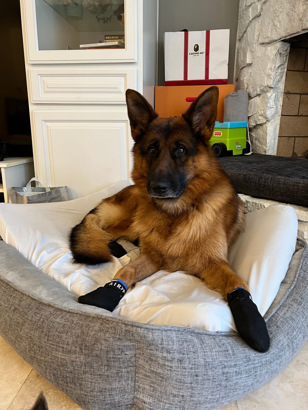 Customer photo review of AIR PUP SPRINTERS - SET OF 4