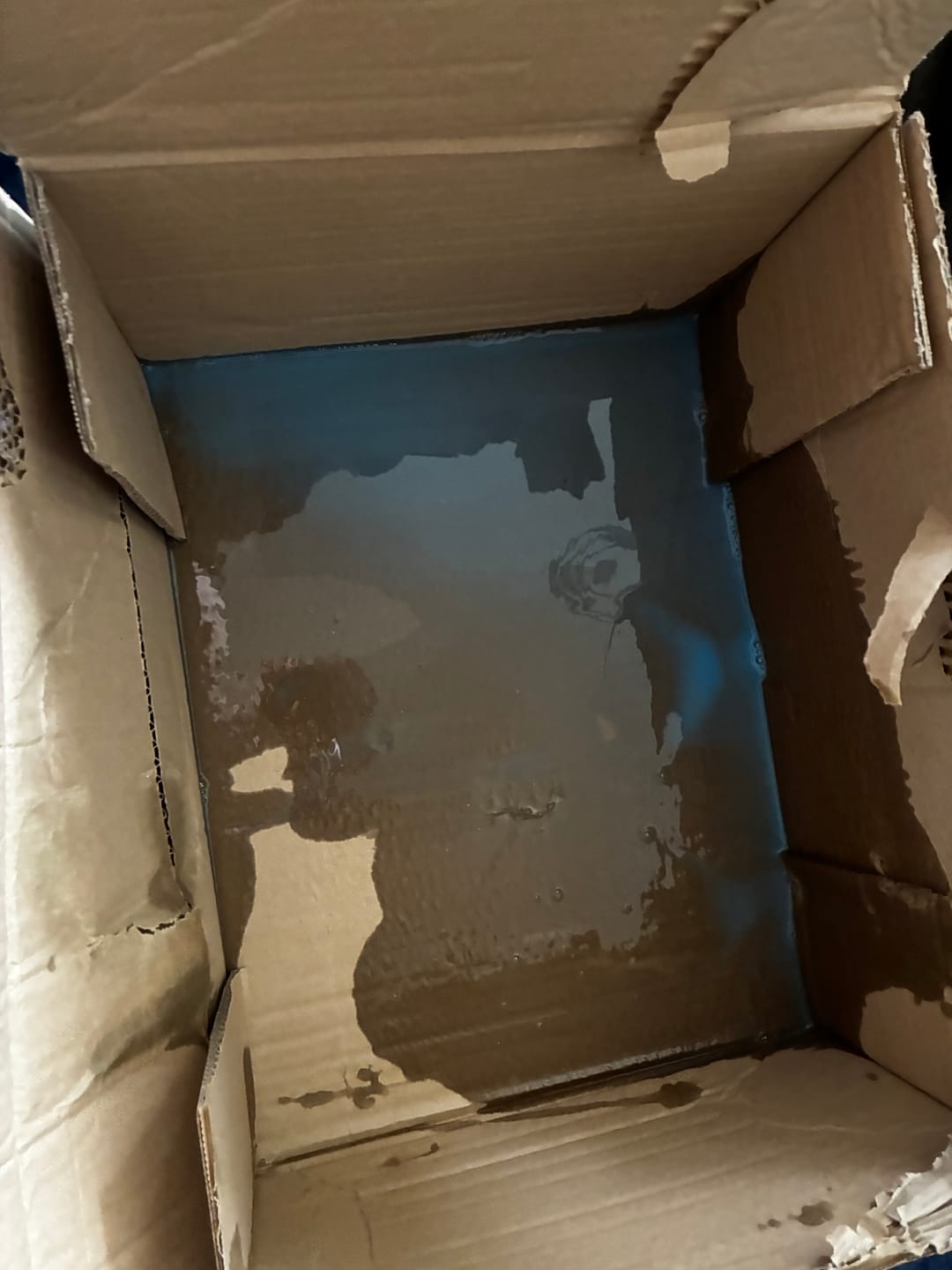 Customer photo review of Chromance - Hybrid Detailer  | 5 Litres
