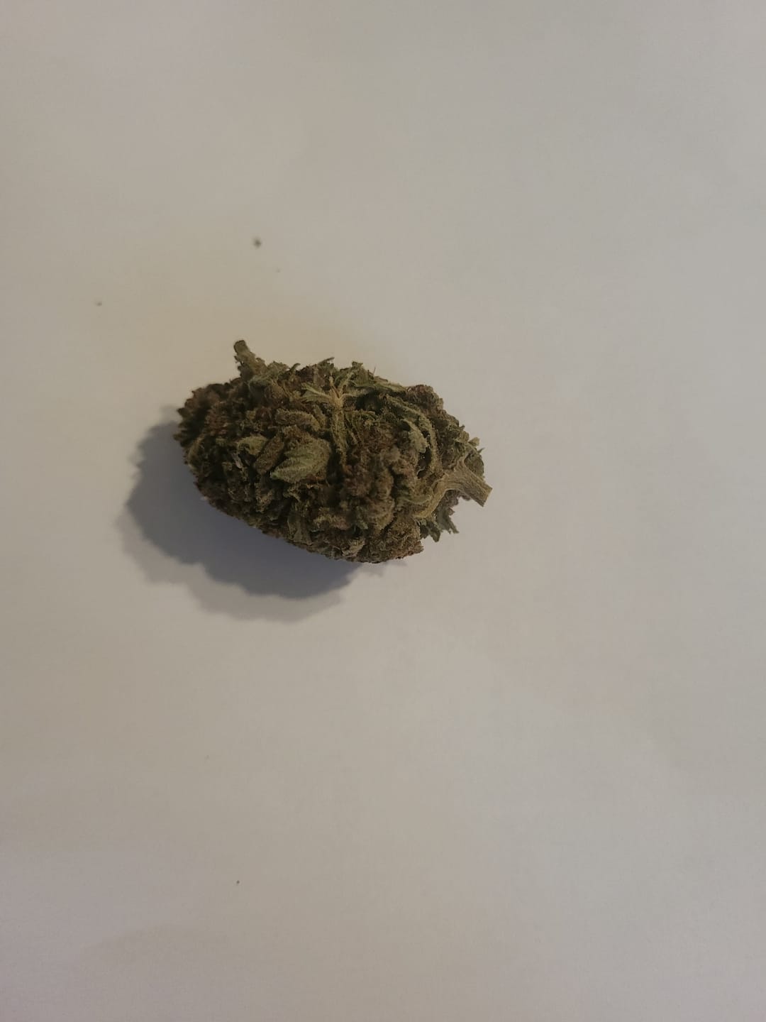 Customer photo review of Purple Kush - Bulk - Indica