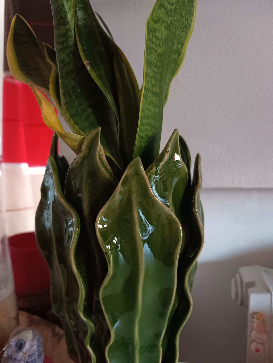 Customer photo review of Vaso Decorativo in Ceramica con Foglie Verde H.31 x Ø18 cm
