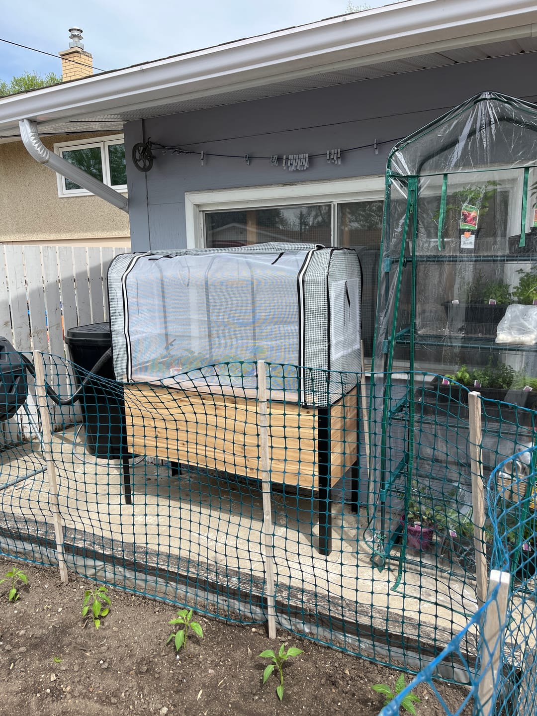 Customer photo review of Greenhouse Cover