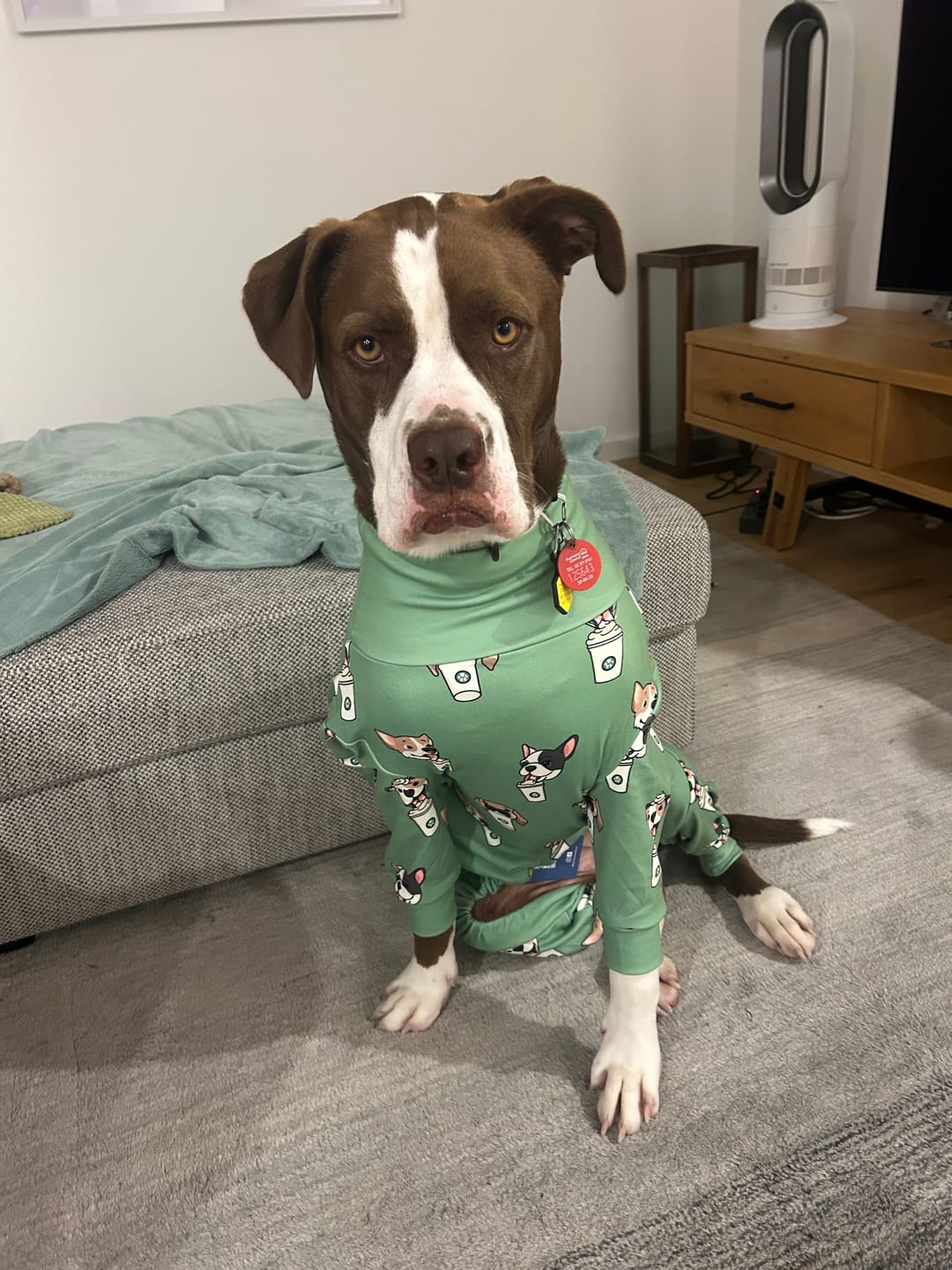 Customer photo review of Dog Pajama - Pup Cup