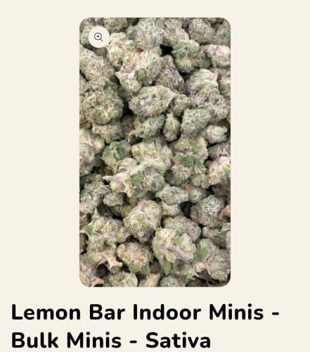 Lemon Bar Minis - Bulk Minis  - Sativa photo review