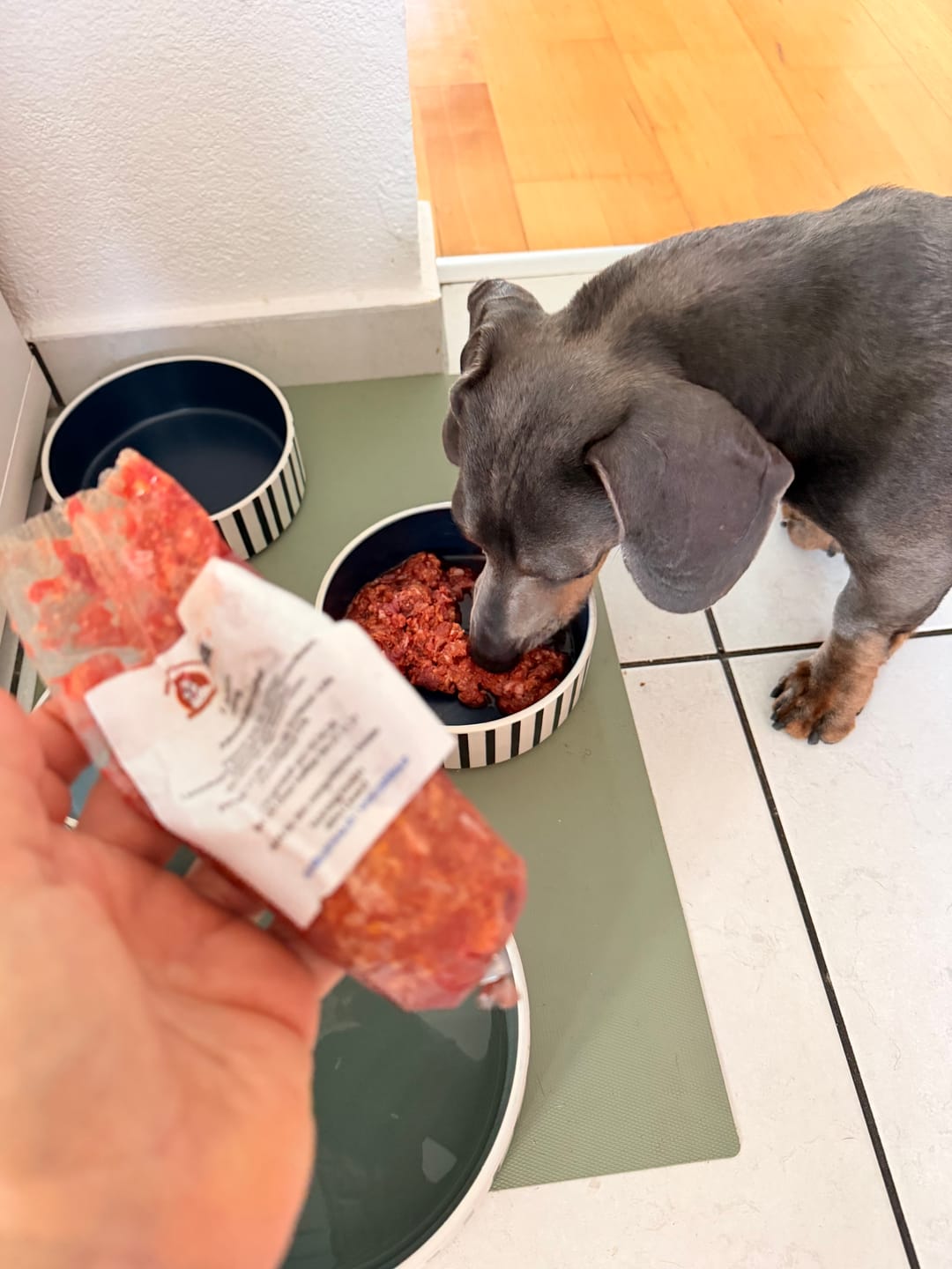 Customer photo review of NutriDog Starter-Box - 3 Sorten in 200g Portionen