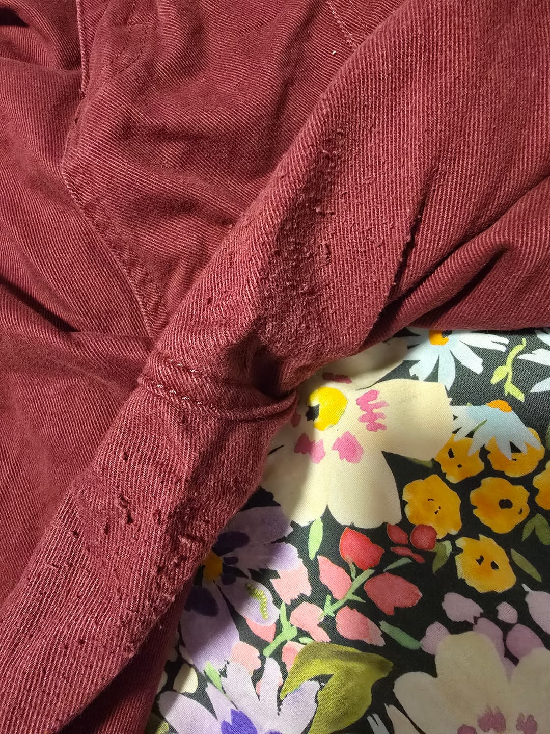 Customer photo review of Long Shorts
