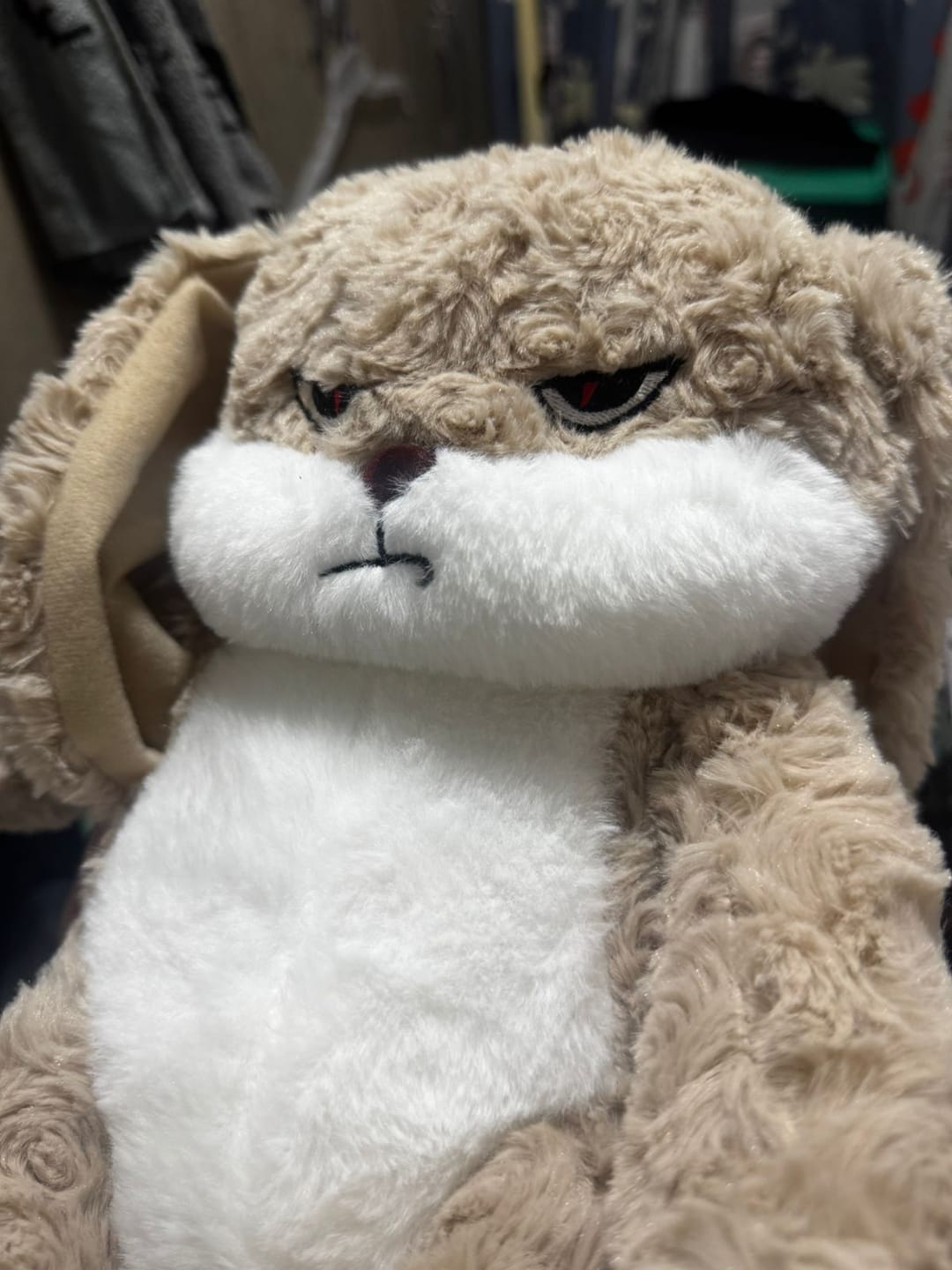 Customer photo review of Peluche tierno y enojado