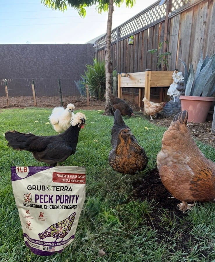 Customer photo review of Peck Purity Daily Digestive Defense for Flock Strength