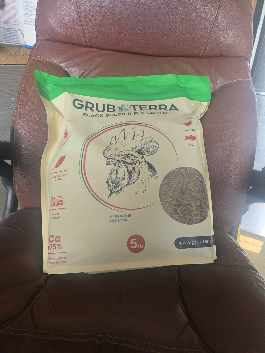 Customer photo review of GrubTerra Dried Black Soldier Fly Larvae - The Safest Treat For Your Flock