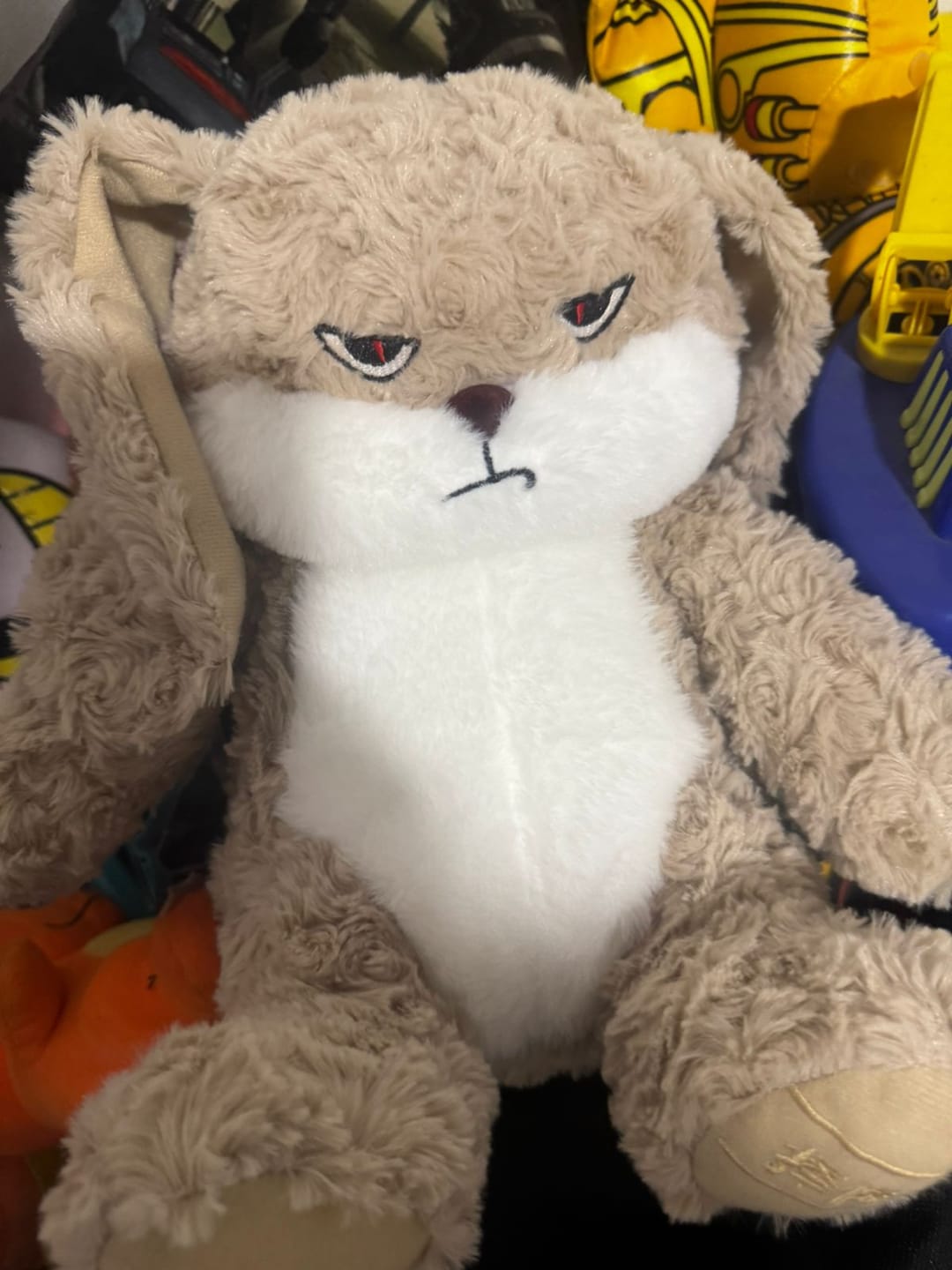 Customer photo review of Peluche tierno y enojado