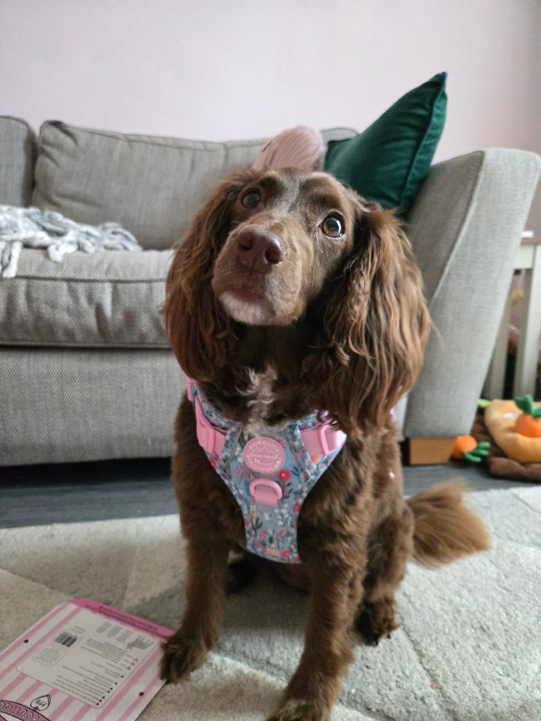 Customer photo review of Tough Trails™ Harness -  Whimsical Wildflowers