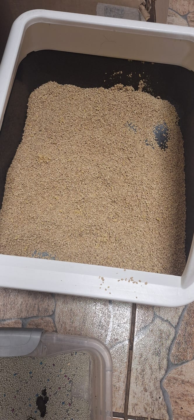 Customer photo review of Pack Cosycat 8,6 + 8,6 kg