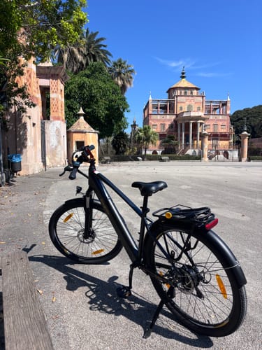 Customer photo review of Electric Trekking Bike T1